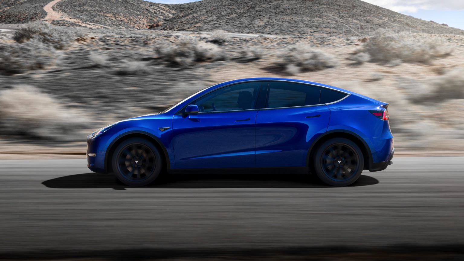 Tesla price deals cut model y