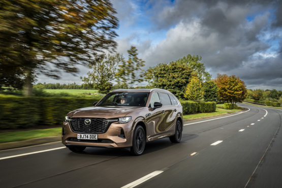 確認⁽⁽*(*˃̶͈̀ ᗨ ˂̶͈́)*⁾⁾ flushed face Emoji (U+1F633)