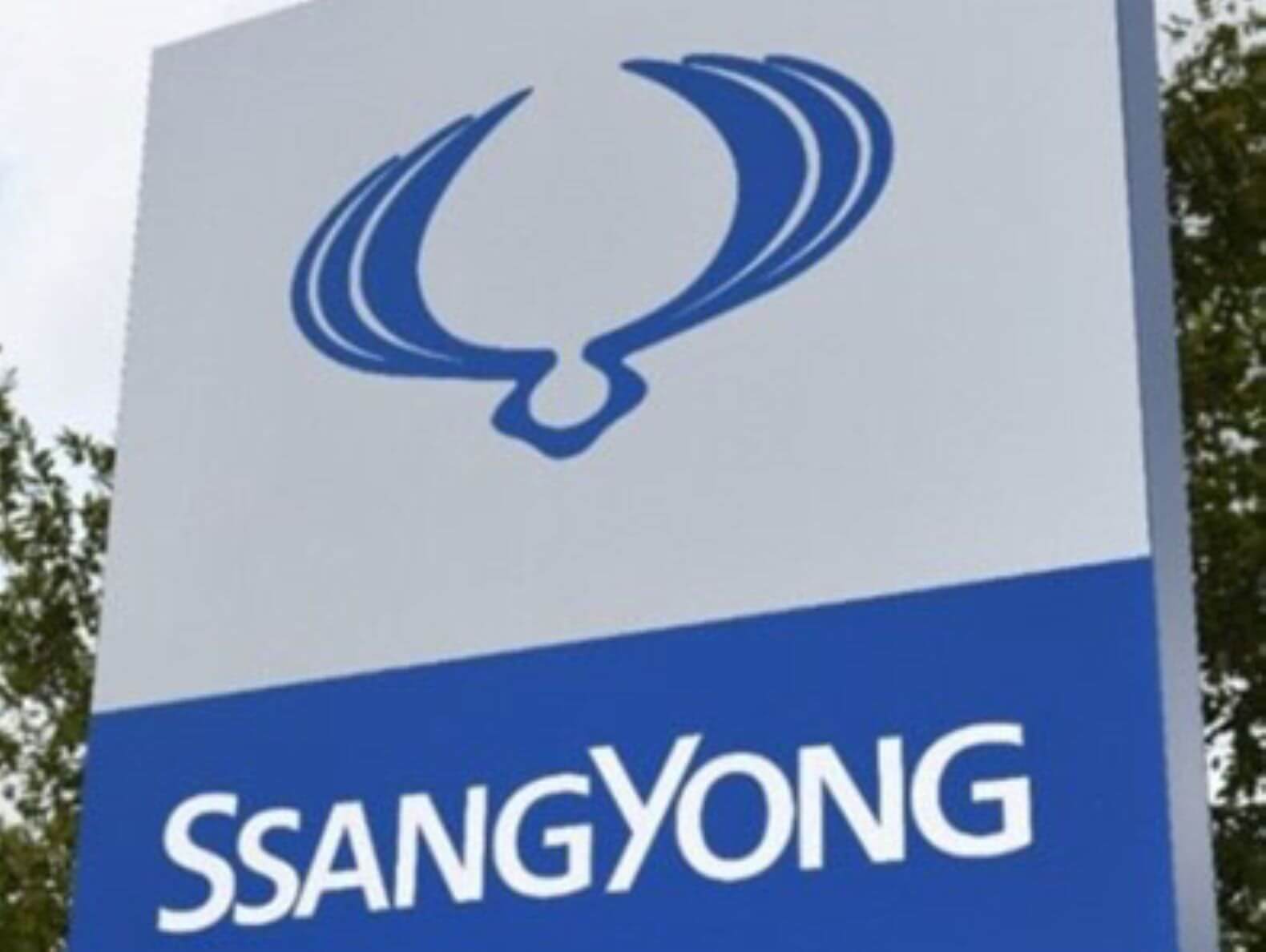 Ssangyong motor. SSANGYONG Company. SSANGYONG Motor Company компании Республики Корея. Актион организация.